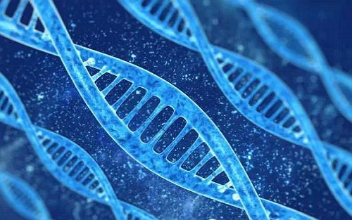 分享现代亲子鉴定基因对比算法(图1)