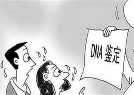 怎样开展个人亲子鉴定呢?(图1)