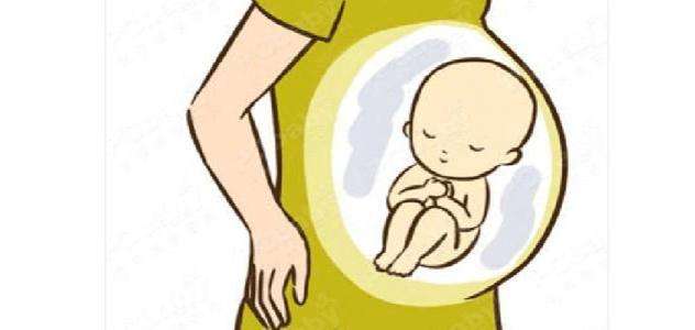 孕妇做胎儿亲子鉴定的最早时间(图1)