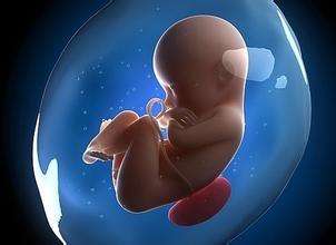怀孕期间是否可以做胎儿亲子鉴定?(图1)