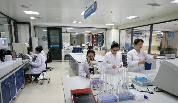 第七次人口普查，如何通过亲子鉴定给黑户上户口(图6)