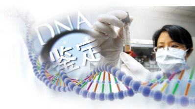 姐妹亲缘鉴定(图1)